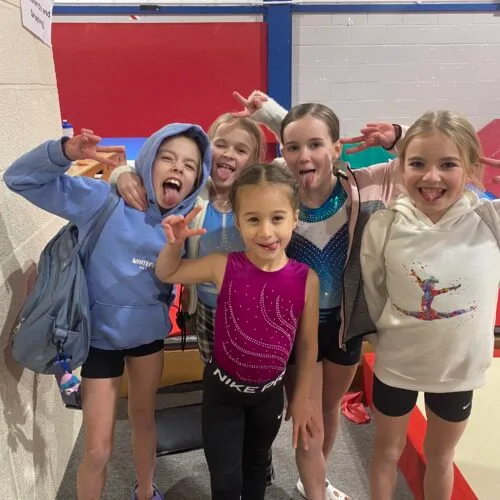 City of Worcester Gymnastics Club — gymnastics-studio in St Clements, Worcester — 2
